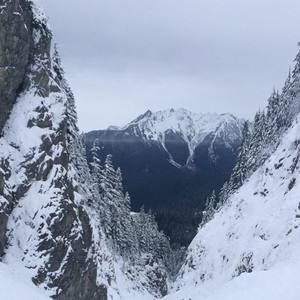 Meet your Posher, Alexander